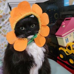 Meet your Posher, Gabriela